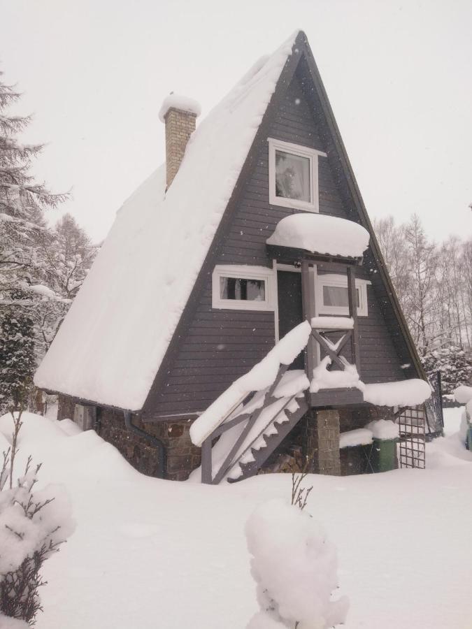 Grygielowka Nad Jeziorem - Sauna & Jacuzzi Kamień エクステリア 写真