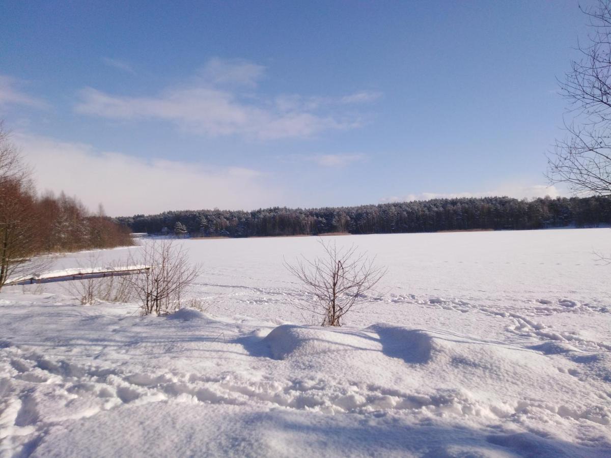 Grygielowka Nad Jeziorem - Sauna & Jacuzzi Kamień エクステリア 写真